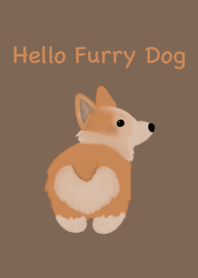 Hello Furry Dog
