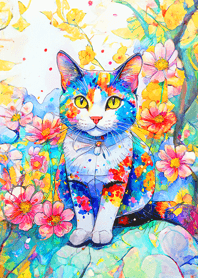 Cat looking this way12