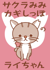 Theme of a bobtail cat with ribbon