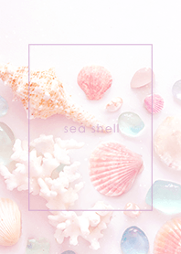 Sea Shell  - 003 Purple