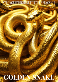 Golden snake  Lucky 84