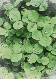 @Clover& Water drop