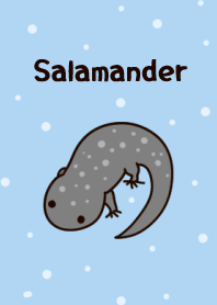 Salamander yang lucu!