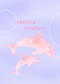 SAKURA Dolphins