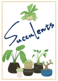 大人かわいい♥多肉・観葉植物④