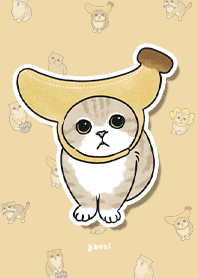 neko combo3 / yellow