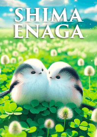 春の野原に潜む２匹のシマエナガ