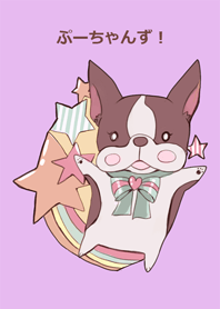 pooh dogs Bostonterrier Theme