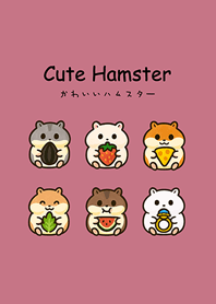 ハムスターの日常生活(ローズピンク)