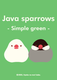 Java sparrows (Simple green)