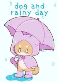 dog and rainy day