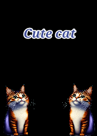 Cute kitties theme