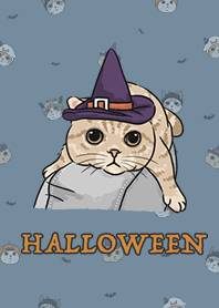 meow's halloween - denim .jp
