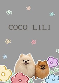 coco&lili theme