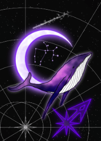鲸鱼和射手座-紫色-