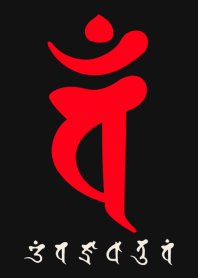 BONJI zodiac [vaM] BLACK RED (0406