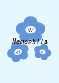 Spring and nemophila flowers