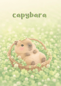 Pretty capybara  In Clover