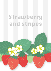 strawberry and stripes/white