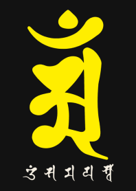 BONJI zodiac [aM] BLACK YELLOW (0372