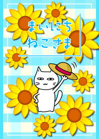 Every day Cat28. -summer and sunflower-