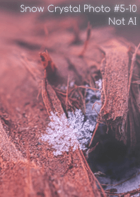 Snow Crystal Photo #5-10Not AI