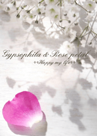 Gypsophila and Rose petal