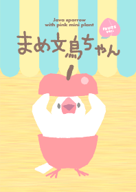 まめ文鳥ちゃん 〜フルーツ〜