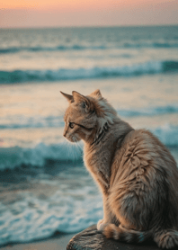 Cat Runaway #LQGaM317.