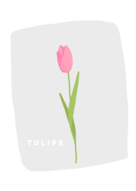 Tulipe