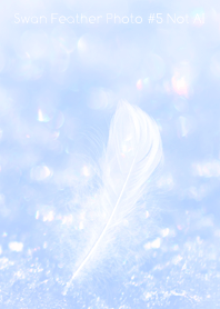 Swan Feather Photo #5-18Not AI