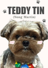 Teddy Tin (Nong Martin)