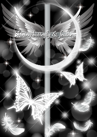 Shining butterfly & feathers