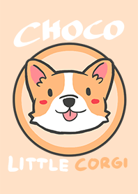 Choco the Little Corgi