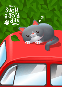 This is such a good day : car roof day