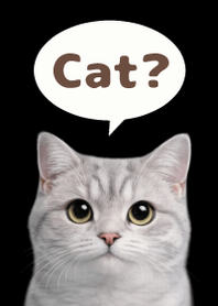 British Shorthair Simples 3 B/W 05