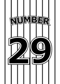 Number 29 stripe version
