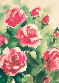 Beautiful rose flower(R4843)