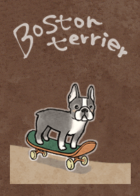 Skateboard Boston Terrier.