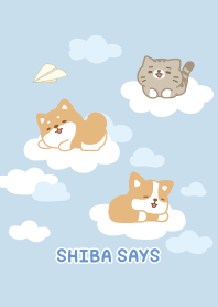 Shibasays Theme 07 Blue
