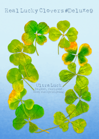 Real Lucky Clovers #Deluxe9