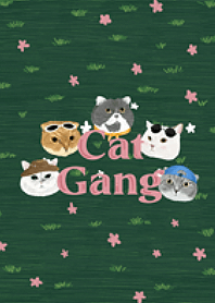 Cat Gang