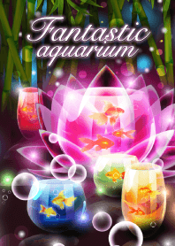 Fantastic aquarium