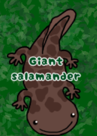 Giant salamander