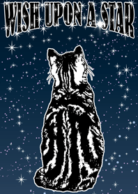 Wish Upon a Star (Cat)