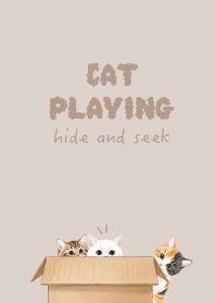 Cat hide and seek.