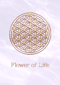 Flower of Life  -  Gold (L) - Purple 01