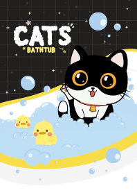 แมวเหมียว แช่อ่างอาบน้ำ มิดไนท์แบล็ค