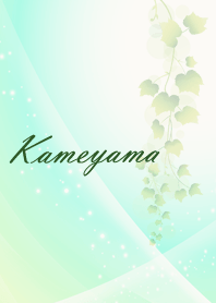 No.266 Kameyama Lucky Beautiful green