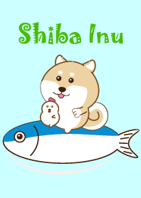 Shiba Inu II